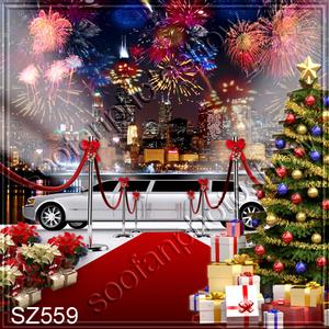 8'x8' sz559B22